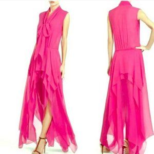 BCBGMAXAZRIA Sheer Pink Begonia Basha Dress Sz XS